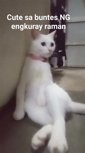 Michelle Compay on Reels | Facebook