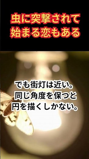 虫が光に集まる本当の理由と今すぐできる対策 #昆虫#虫対策#生物学#光害#LED照明#科学雑学