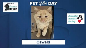 Pet of the Day: Oswald