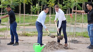 LEGO debuts new forest of trees at upcoming Vietnam factory