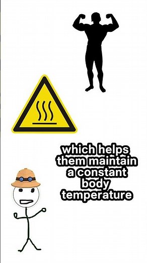 What's the difference? Warm and Cold blooded Animals