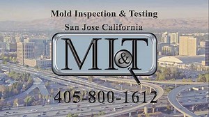 Mold Inspection & Testing San Jose California