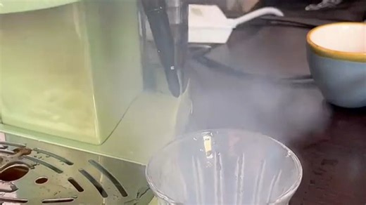 德龙（Delonghi）咖啡机 复古半自动咖啡机 小型家用美式意式浓缩15Bar泵压 手动打奶泡 ECO310.VGR 橄榄绿新年礼物