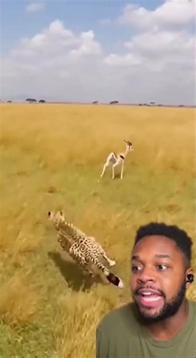 chase battle PART 3｜The Sudden Turn — A Split Second Escape🐆🦌