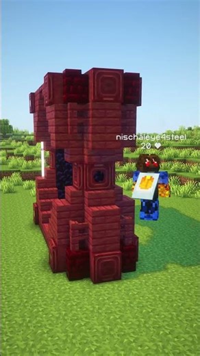 Minecraft Aesthetic Nether Portal Design #minecraft #eye4steel #shorts