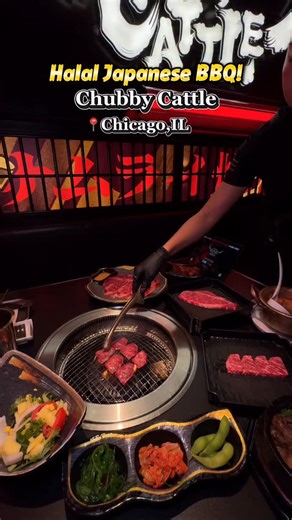 Chicago Spotlight on Instagram: "Chubby Cattle brings a full Japanese BBQ experience done right — AYCE wagyu, halal options, refreshing boba, and sides that steal the show 🔥 • • • #chispotlight #chicagofoodie #chicagoeats #chicagofoodguide #chicagohalal #chicagohalalfood #halalkoreanbbq #japanesebbqchicago #koreanbbqchicago #chubbycattlechicago #chicagoboba #aycechicago #chicagowagyu #aycewagyu"