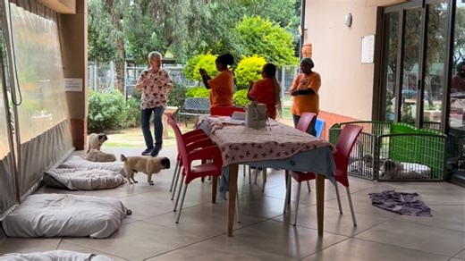 Dr Tanya Grantham also loved the vibe. What a day!! #dance #pugslife #fun | Pug Rescue South Africa