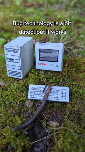 30K views · 747 reactions | old computer has bugs on it | Legboot | Facebook