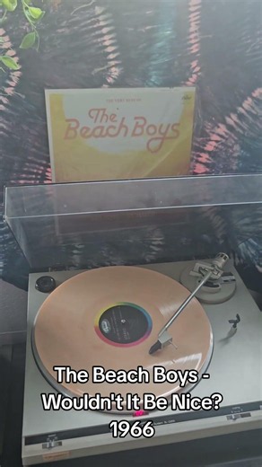 The Beach Boys - Wouldn't It Be Nice? 1966 #thebeachboys #brianwilson #denniswilson #aljardine