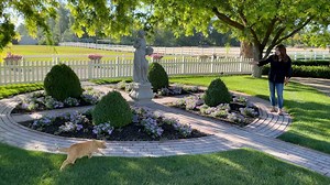 Heat Wave Garden Tour 🌿🥵☀️ | Garden Answer