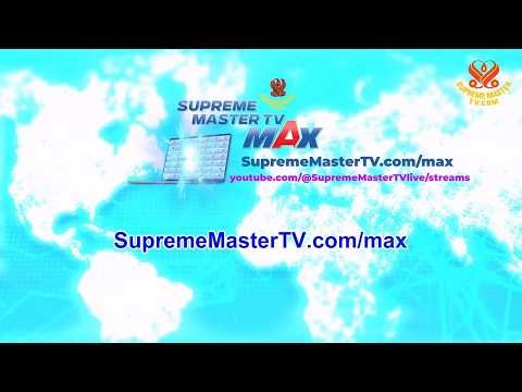 Supreme Master TV Max - Maximize Your Blessings at Home, Work, and Anywhere (v4)