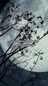 🌌✨ Introducing The Celestial Codex! ✨🌌 Learn the mysteries of the cosmos with our newest collection of spells, rituals, and ancient wisdom. Drawing inspiration from the moon, stars, and the vast universe, this grimoire is your key to unlocking the astral energies that surround us. Whether you’re a seasoned witch or just starting your magical journey, “The Celestial Codex” offers guidance, empowerment, and connection to the celestial realm. 🌙 Explore moon phases and their secrets. 🌠 Harness t