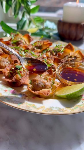 Crispy Pork & Shrimp Wontons Recipe
