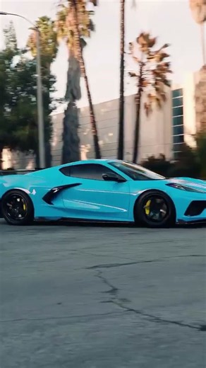 The C8 Stingray sounds the way it should with the F1 Exhaust System