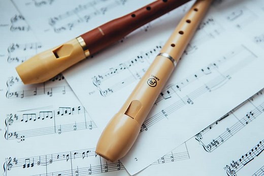 16 Fun And Interesting Facts About The Recorder
