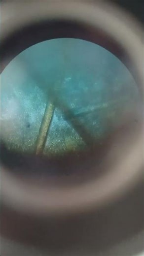 Ear bud Cell microscope
