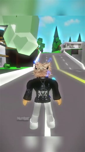 BROOKHAVEN SECRETS ID CODES