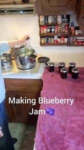 14K views · 288 reactions | Making Blueberry Jam #freshfruit #jamsandjellies #preserves #preservingfood | South Alabama Cooking | Facebook