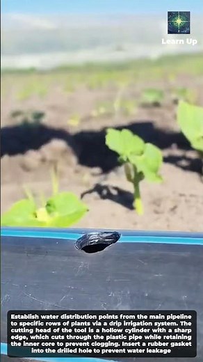 Modern Irrigation Solution: Drip Irrigation System