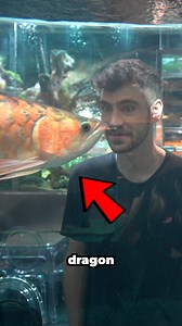 378K views · 10K reactions | Crazy fish inside Korea aquarium | CoralFish12g | Facebook