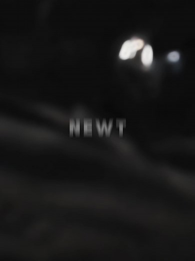 ☆NEWT☆ no TikTok