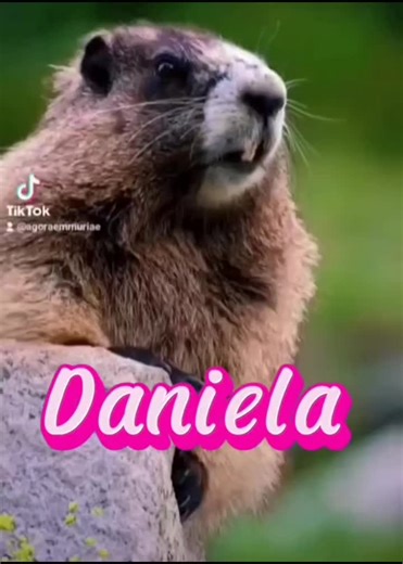 Ninie (@daniellaninietsir)’s videos with son original - Manley_Lyrics Fr🇫🇷