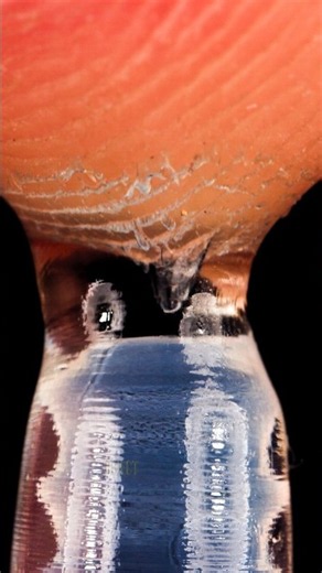 Fingerprint in Macro