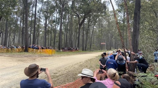 13K views · 81 reactions | Alpine Rally 2025. Who kept on it the longest after the corner? Luke Sytema/Adam Wright | RallyCars.com.au | Facebook