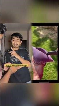 GIVE VS TAKE FROM NEIGHBOUR😭😬🚪#shorts #relatable #neighbors #indian #viral #trending #introvert