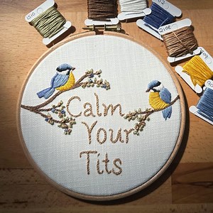 Hand Embroidery Kit- Calm Your Tits. Sassy, Fun, Bird Lovers, Alternative Vintage Style Hand Embroidery Gift Kit. All Abilities - Etsy