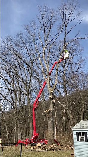 Rigging Branch from CMC Spider Lift