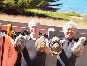 Sea Ranch Abalone Bay