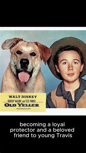 Old Yeller (1957) Review: Why This Classic Dog Film Still Breaks Our Hearts#OldYellerReview#Classi
