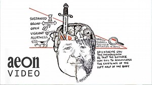 11K views · 186 reactions | The notion that the brain’s right...