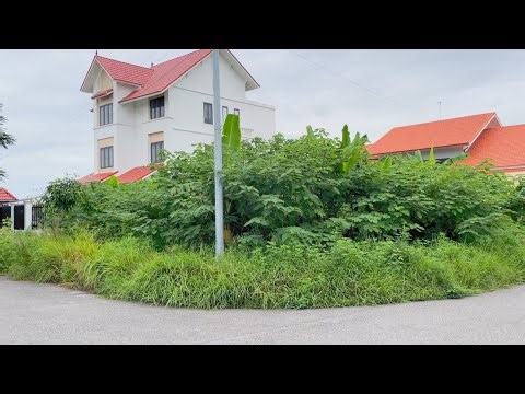 It Took 9 Hours to Clean This Filthy Overgrown Sidewalk… We Earned Just $16 . . . ?