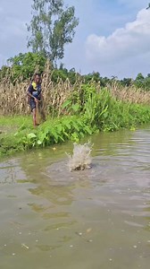 25M views · 38K reactions | Very big fish #funny | Masud fun l.t.d | Facebook