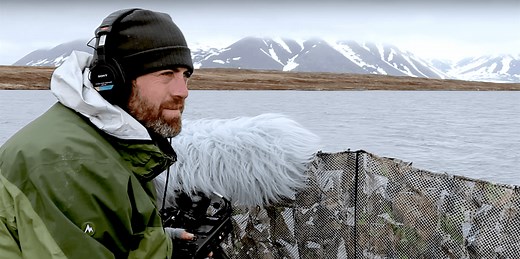 The World's Largest Library of Animal Sounds Is Now Online & Ready for Licensing