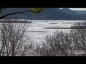 Trempealeau Eagles/ Cam tour of the area - explore.org 12/3/24