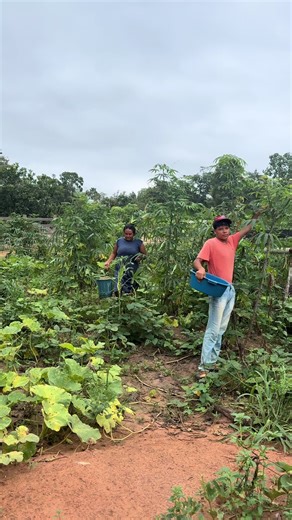 Os vídeos de SILVA-ANDERSON (@silva_anderson) com som original - SILVA-ANDERSON