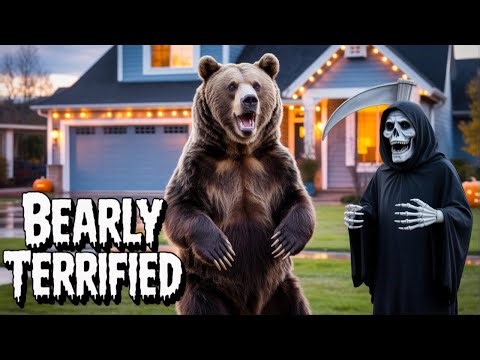2 bear scared by halloween decoration front home .