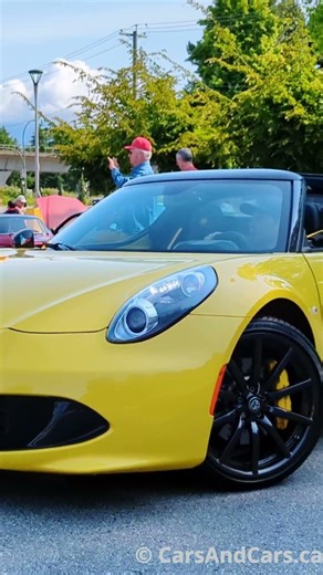 Alfa Romeo 4C Spider 💛 #alfaromeo #shorts