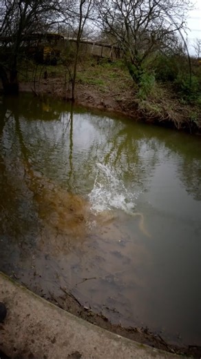 WATCHING this Pike live smashing the LURE 🤯🎣🤘 | Lure Fishing TV