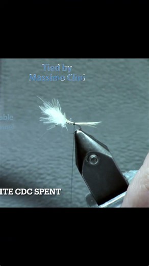 White & Orange CDC Spent #flytying #fishing #flytyingtutorial