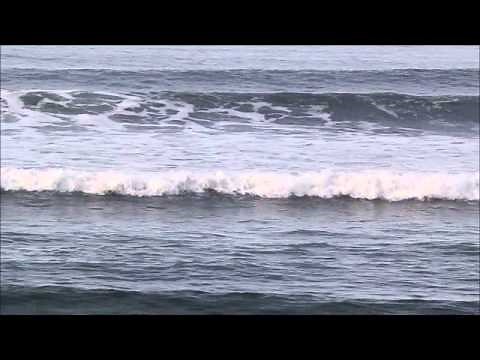 Surfing The Cove In Seaside Oregon