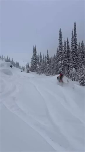 Shredding in the clouds and destroying fresh pow near you. Next stop Kalispell Mt. come ride with us Jan 16 🎥 @backcountry_brando #squad #Daboys #yetisnowmx #yeti #rockymountainsnowmx | James Maropoulos