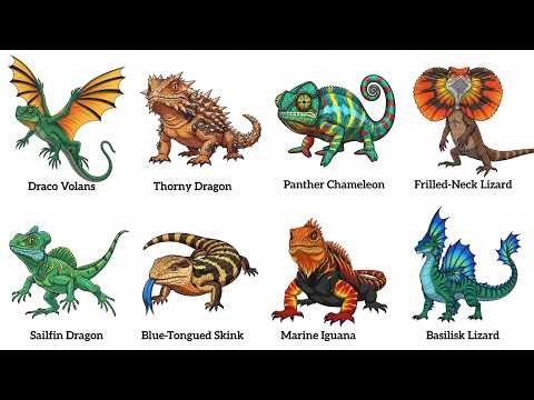 Every Type of Lizard Explained in 12 Minutes