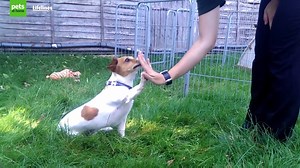 13K views · 276 reactions | VIP Member Competition! We’ve raised £5...