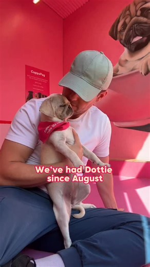 Dottie is in her forever home, even with a short life expectancy she’ll have the best life possible. #CuppaPugRescue | CuppaPug