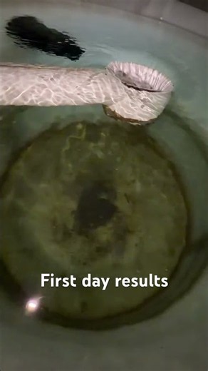 DIY backyard engineering for my koi pond #diy #nature #koipond #gardenpond #pondplants