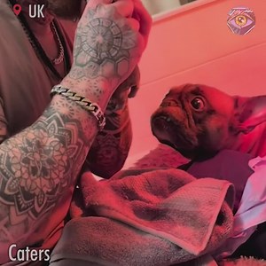 1.9M views · 63K reactions | Precious baby needed a miracle to survive... | Bright Side Fun | Facebook